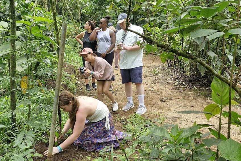 Local Sightseeing & Liberia Walking City Tour 4