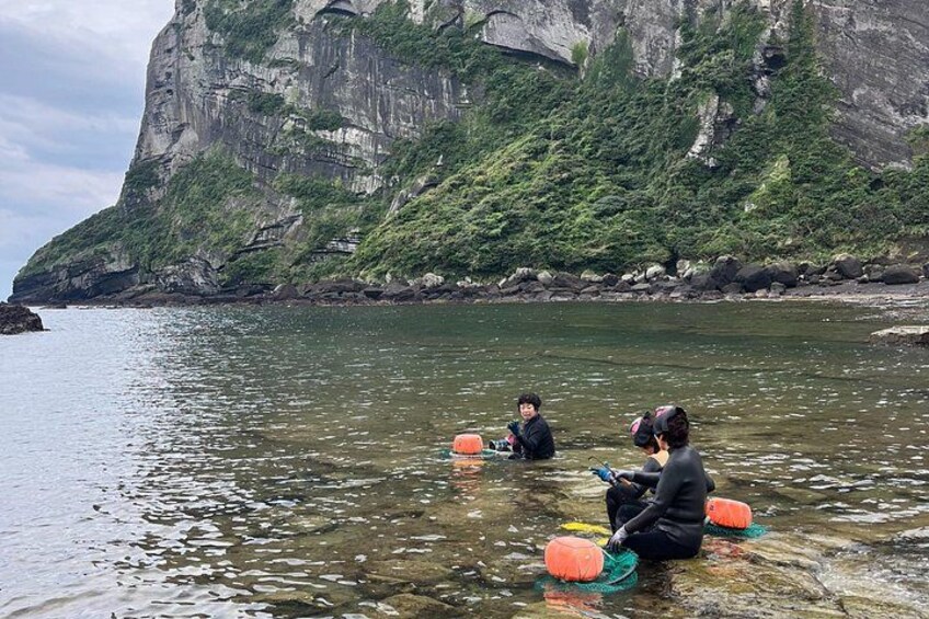 UNESCO Jeju Island EAST Tour (entrance fee included) 4