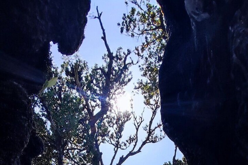 Madeira "Mystery Tour" - Full Day Private 4x4 Jeep 4