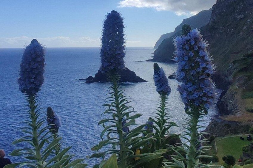 Madeira "Mystery Tour" - Full Day Private 4x4 Jeep 3