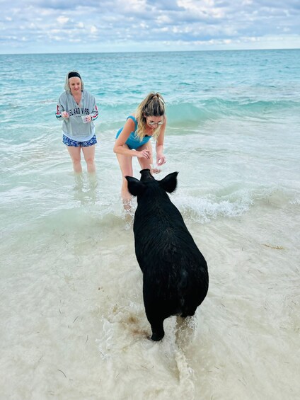 PRIVATE - All Inclusive Swimming Pigs, Snorkel & Lunch 