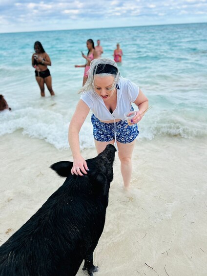 PRIVATE - All Inclusive Swimming Pigs, Snorkel & Lunch 