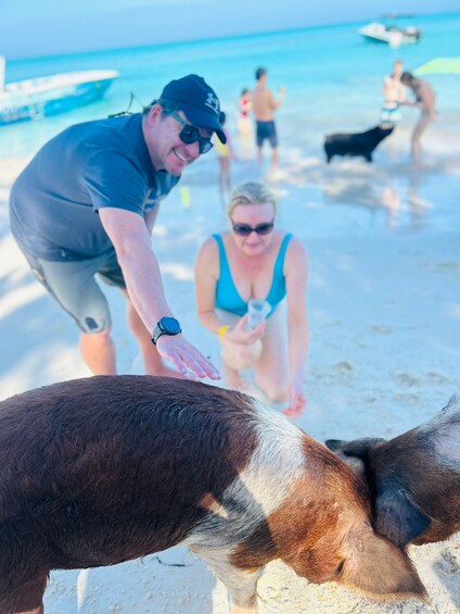 PRIVATE - All Inclusive Swimming Pigs, Snorkel & Lunch 