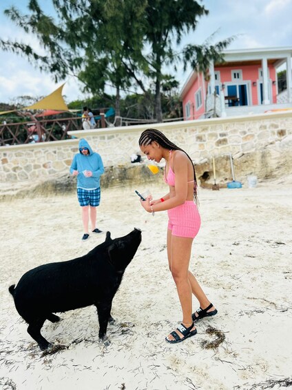 PRIVATE - All Inclusive Swimming Pigs, Snorkel & Lunch 