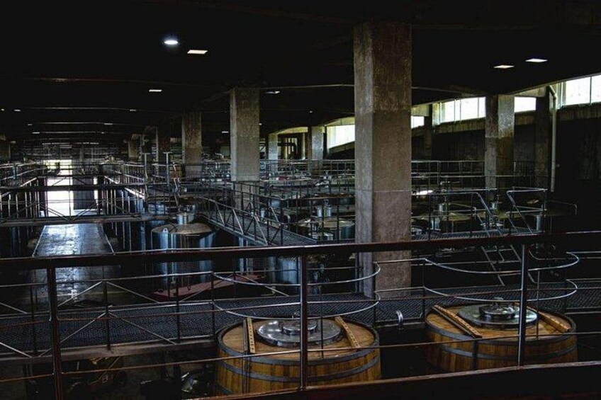 Viu Manent and Montes Winery, Colchagua Valley from semi-private 2