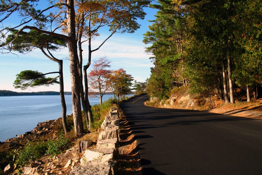 A winding road bordered by trees and a body of water. 5