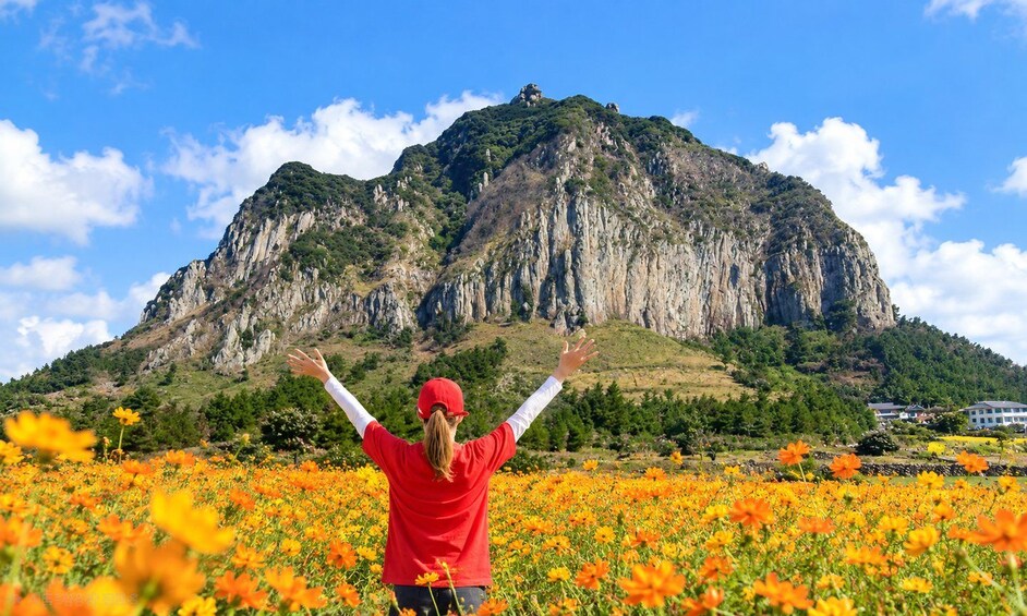 South-West Jeju Essentials: Hallasan & UNESCO Highlights 1