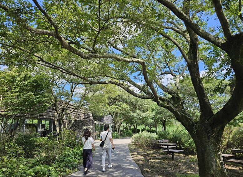 Picture 19 for Activity South-West Jeju Essentials: Hallasan & UNESCO Highlights 5