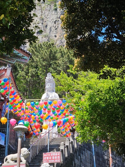 Picture 28 for Activity South-West Jeju Essentials: Hallasan & UNESCO Highlights 2