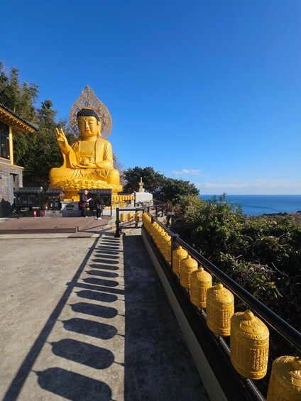 Picture 29 for Activity South-West Jeju Essentials: Hallasan & UNESCO Highlights 4