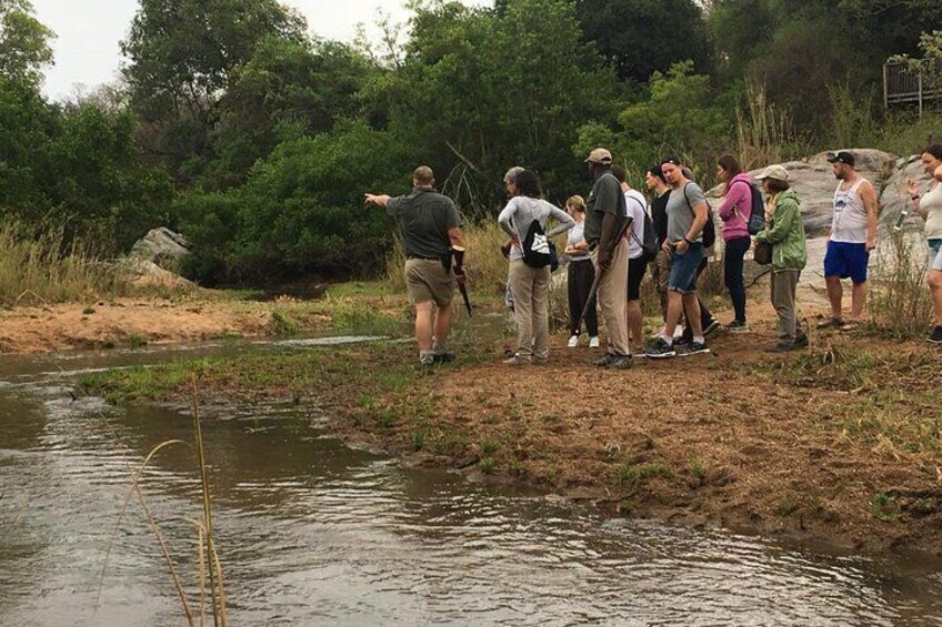 A group of people standing by a riverbank, some pointing towards the water. 4