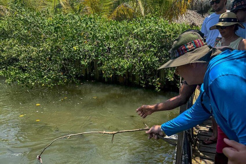 Cartagena Real : neighborhood, mangrove, fishing, typical lunch and culture 3