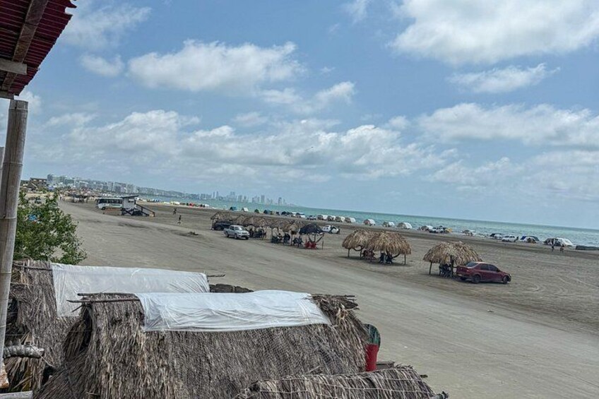 Cartagena Real : neighborhood, mangrove, fishing, typical lunch and culture 2