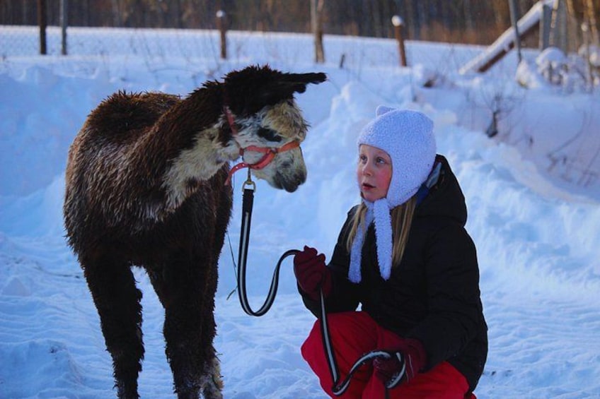 A person with a dog in a snowy outdoor setting. 3