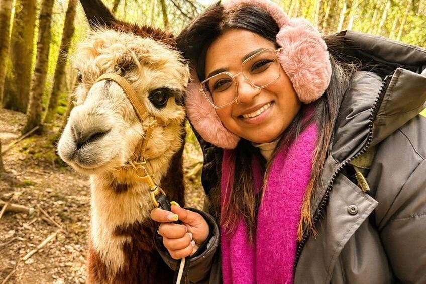 Een persoon met een lama in een bebost gebied. 2