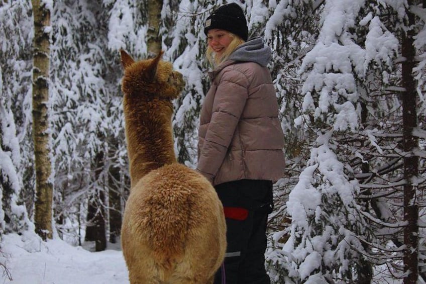 A person standing in a snowy forest with a llama. 5