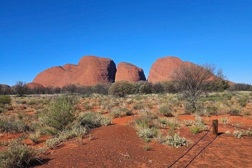 Uluru, Kata Tjuta and Kings Canyon Camping Safari from Ayers Rock 3
