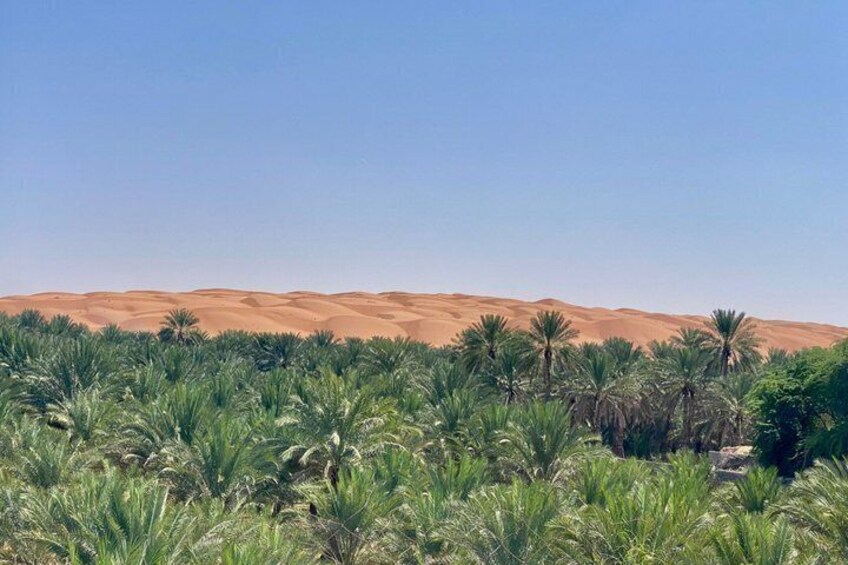 Un paysage désertique avec des dunes de sable et des palmiers. 5