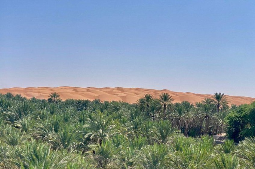 Un paysage désertique avec des dunes de sable et des palmiers. 5