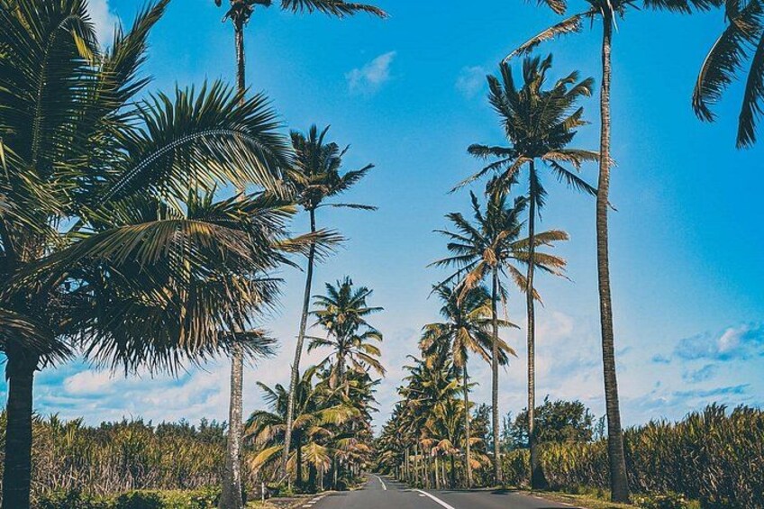 Full Day Private car only Guided SOUTH WEST of Mauritius 2