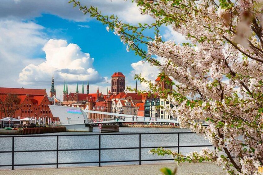 Private Full Day Tour in Gdansk from Gdynia Cruise Port 3
