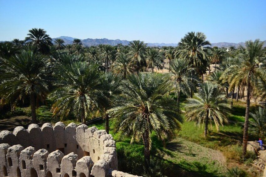 Enjoy the beauty of Fanja, Samail، Izki & Nizwa on a special trip 3