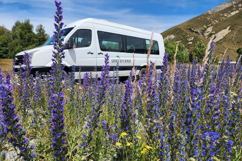 Premium Mercedes Sprinter through alpine lupine fields 2