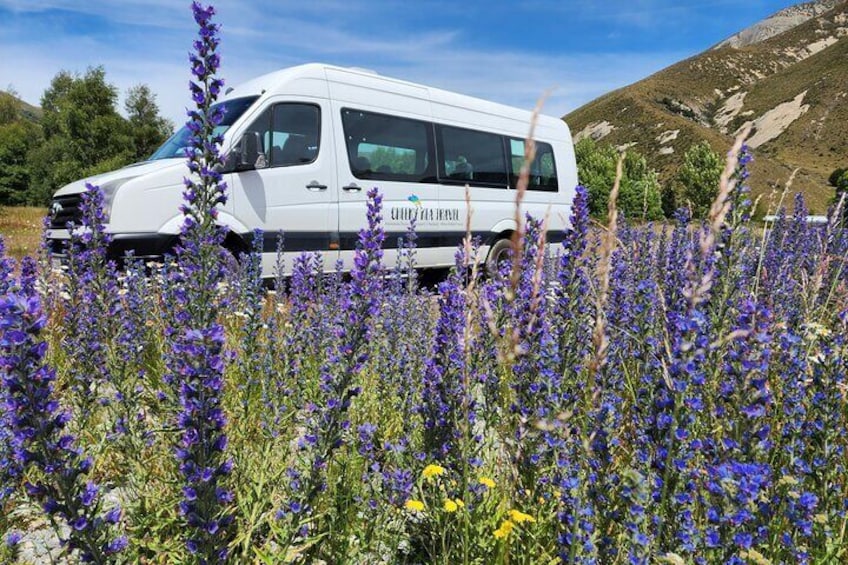 A white van parked in a field of purple flowers with a mountainous background. 2