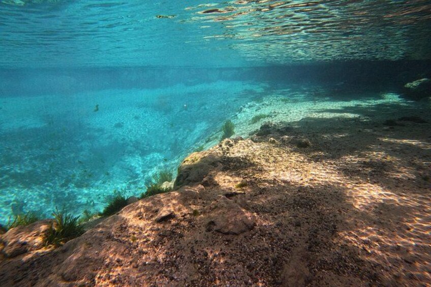 Une vue sous-marine dégagée d’une côte rocheuse, avec les rayons du soleil qui filtrent à travers l’eau. 5
