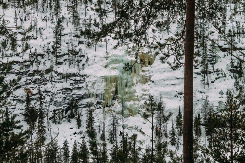 A snowy forest with a waterfall. 3