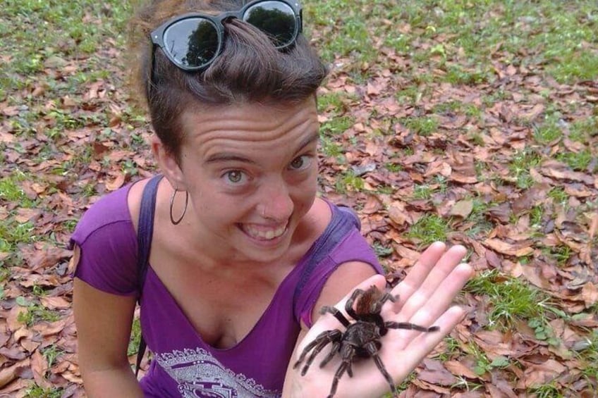 A person holding a large spider in a natural setting with fallen leaves on the ground. 4