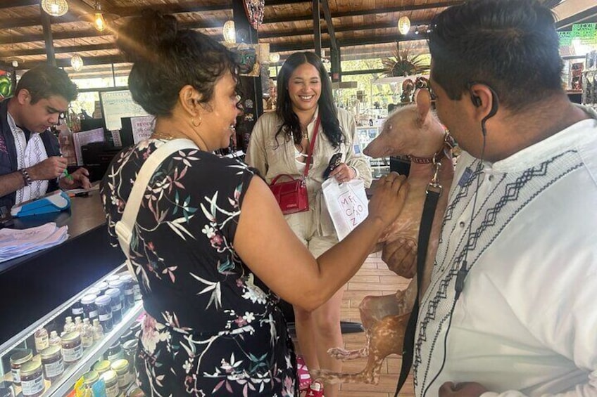 People interacting with a pig at a market stall. 5