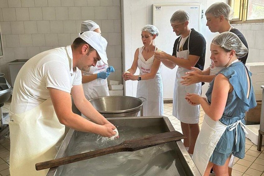 Processing Fior di Latte "Mozzarella" 5