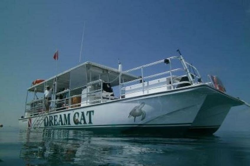 Ein Boot namens 'DREAM CAT' mit Vogelaufkleber an der Seite, das auf ruhigem Wasser schwimmt. 4