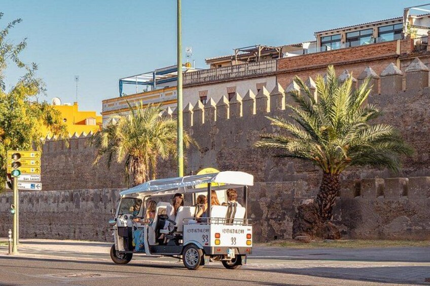 En tuk-tuk med passagerer på en gade med en historisk murstensmur og palmer. 4
