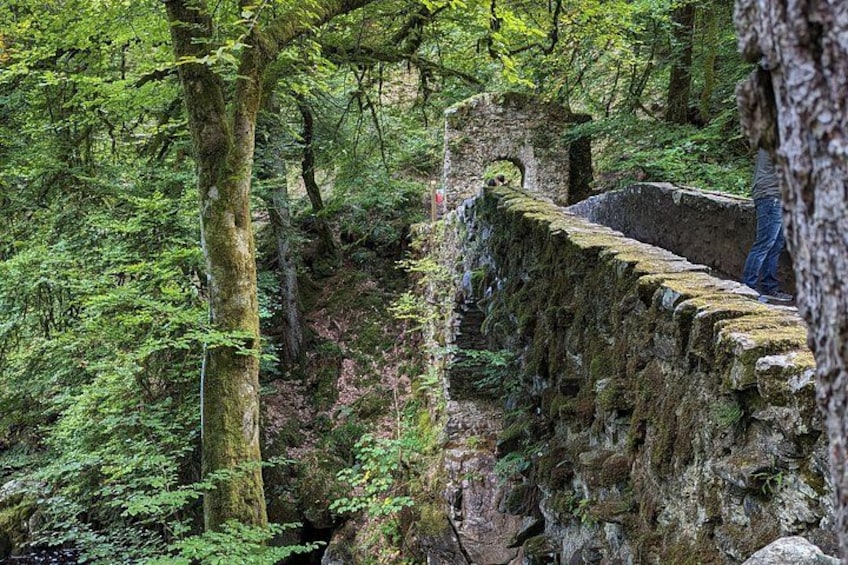 Un puente de piedra cubierto de musgo en un bosque. 1