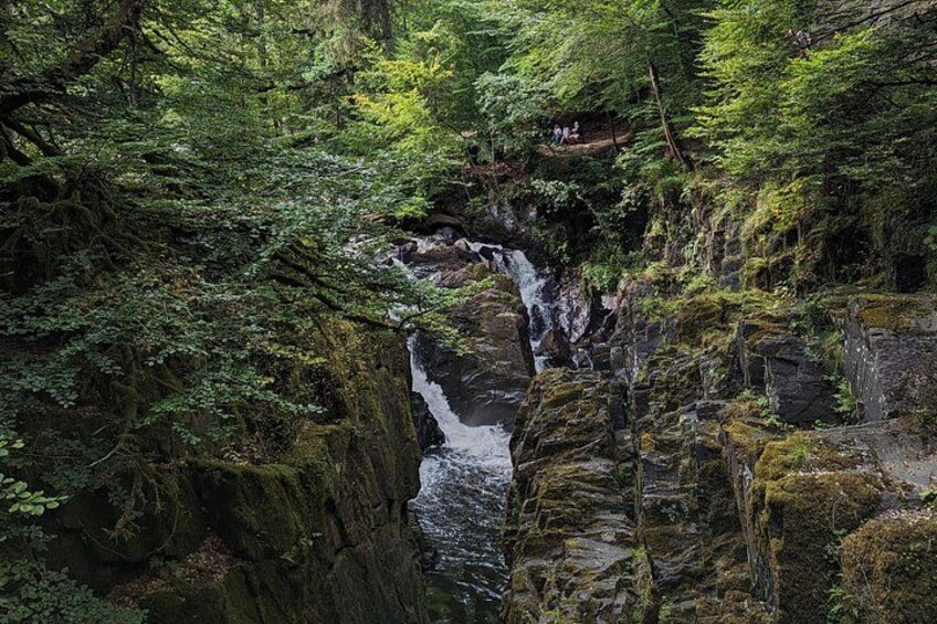 Una cascada en un área boscosa con rocas cubiertas de musgo y vegetación exuberante. 5