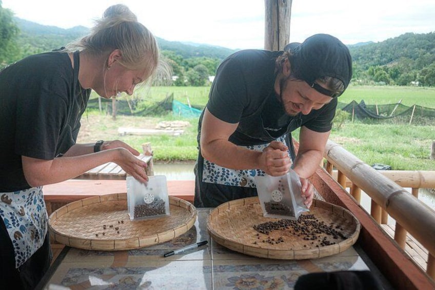 Dos personas seleccionando granos de café en una mesa de madera al aire libre. 3