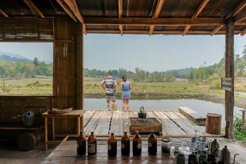 Chiang Mai Jungle Coffee Experience: Farm Trek, Roast & Brew. 2