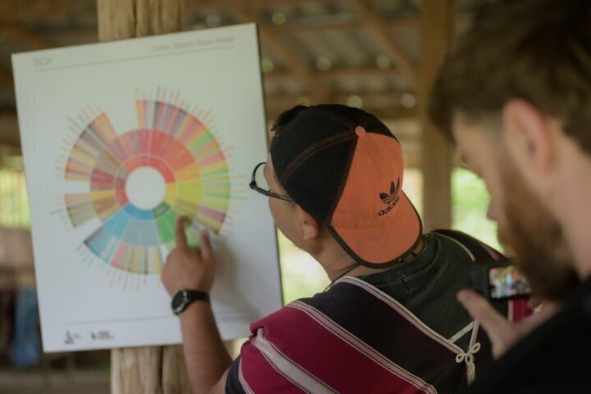 Chiang Mai Jungle Coffee Experience: Farm Trek, Roast & Brew. 5