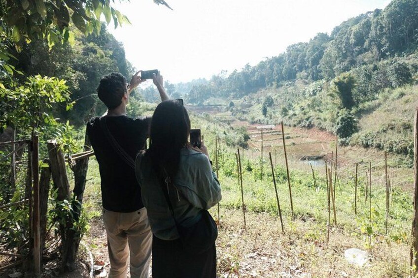 The tour offers a thrilling trek through lush landscapes, showcasing sustainable practices and the beauty of nature's bounty. 2