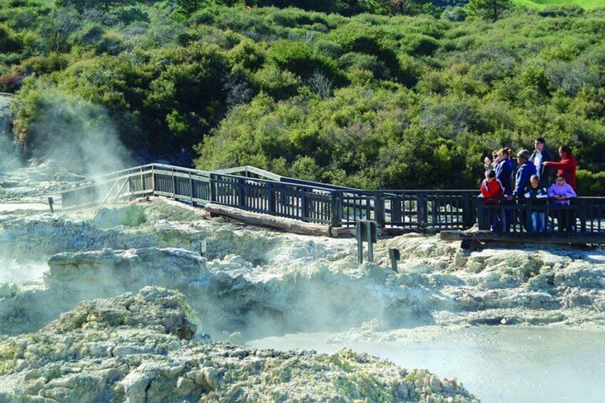 A bridge over hot springs with steam rising, surrounded by lush greenery. 5