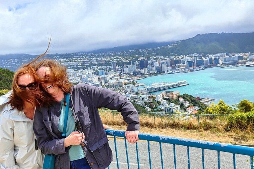 Try to see the views at Mt Victoria, particularly enlivening on a windy day. 3