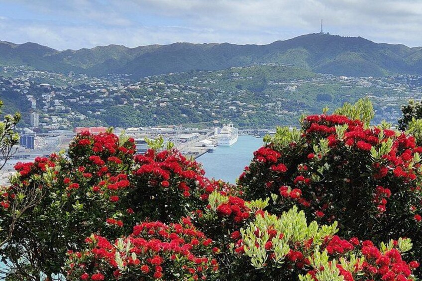 In late Nov/December, the Pohutakawa are blooming wonderful. 5