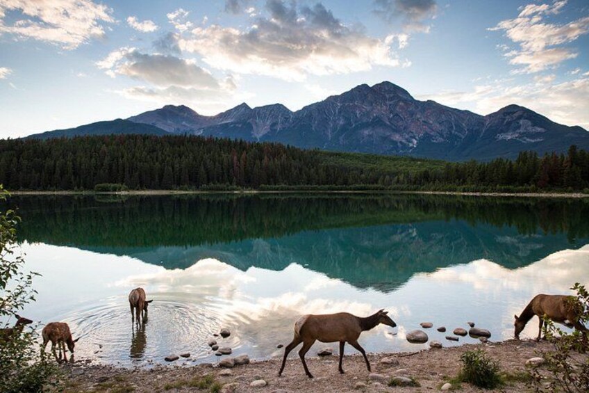 Private Tour: Famous MOVIES + MOUNTAINS Photo Safari Drive - 4hrs 5