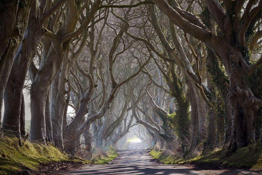 Game of Thrones Odyssey: Full-Day Private Tour from Derry 4
