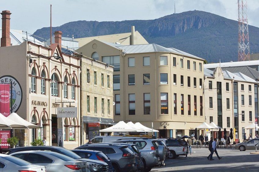 Full Day Private Shore Tour in Hobart from Hobart Cruise Port 5