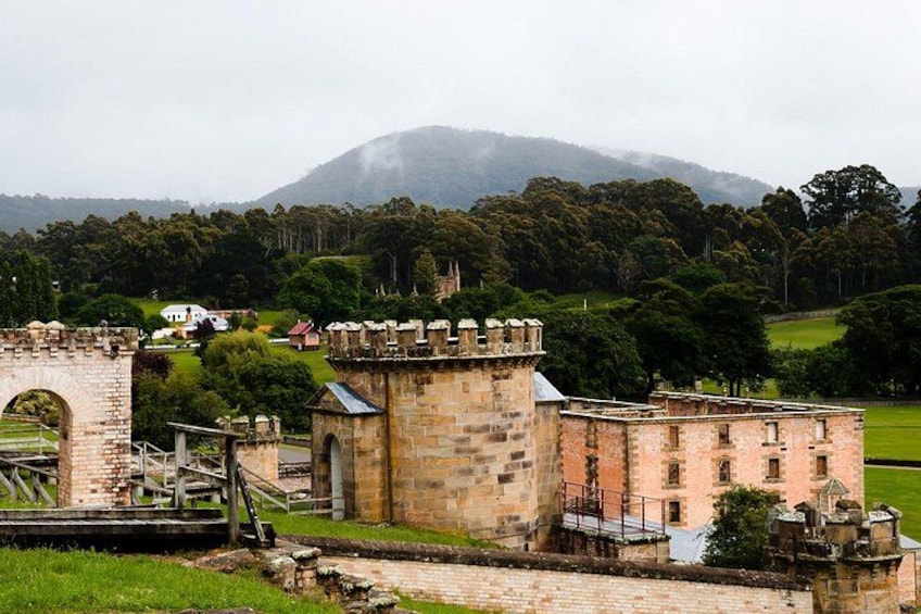 Full Day Private Shore Tour in Hobart from Hobart Cruise Port 4