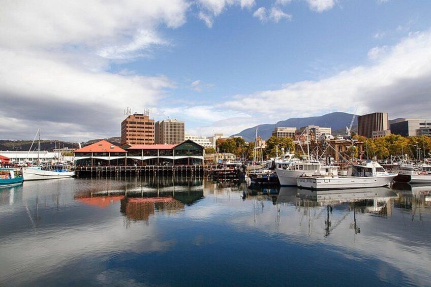 Full Day Private Shore Tour in Hobart from Hobart Cruise Port 1