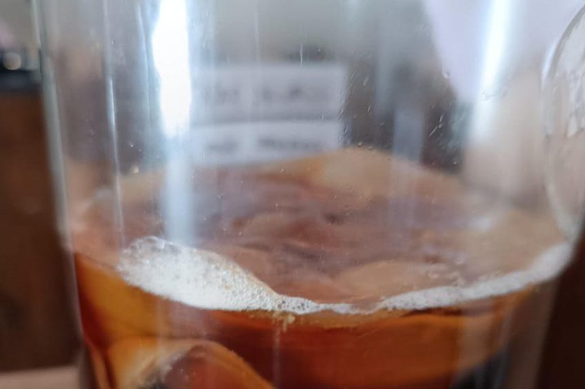 Kombucha Making Workshop in Cyprus 4